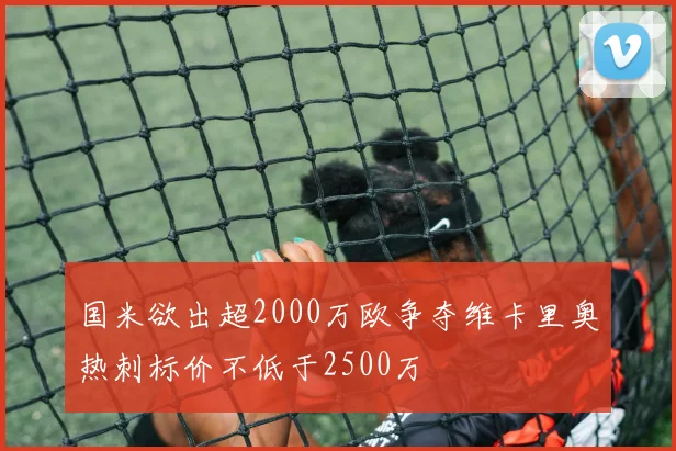 国米欲出超2000万欧争夺维卡里奥热刺标价不低于2500万