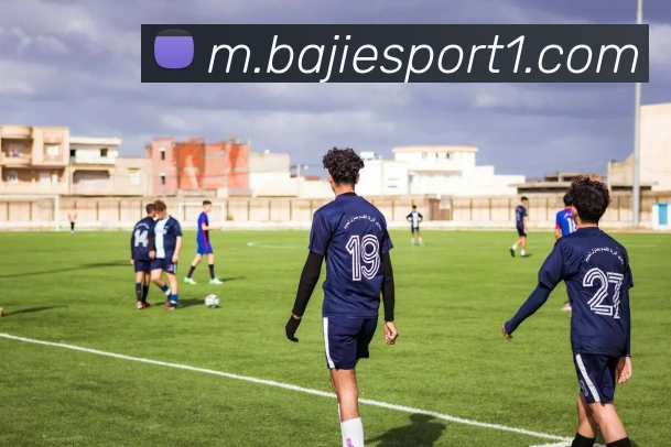 八戒足球体育平台生态图