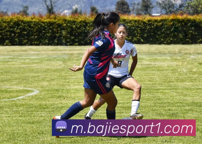 八戒足球体育APP 封面图